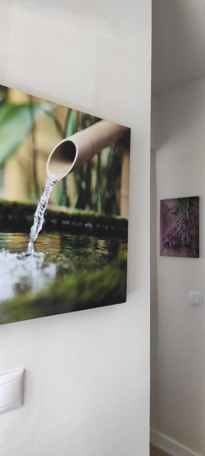 Serendipia Ávila Exteriér fotografie